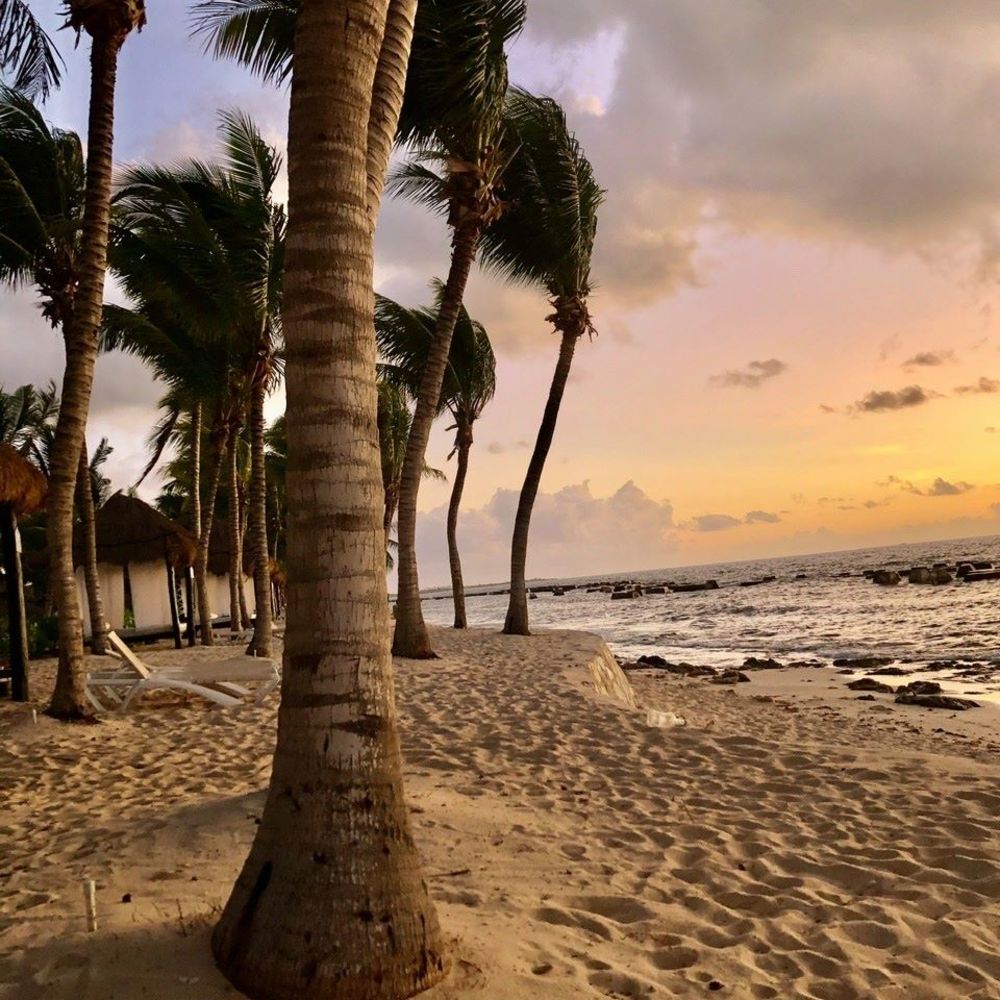 Meet your Posher, Sherry